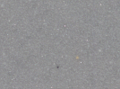Concrete Image