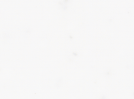 White  Image
