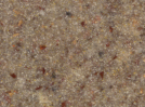 Sierra Image