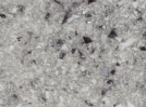 Pepper Image